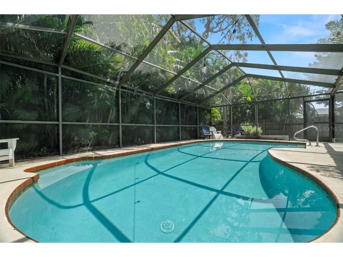 910 Palmetto Drive Safety Harbor FL 34695 TB8427890 image34