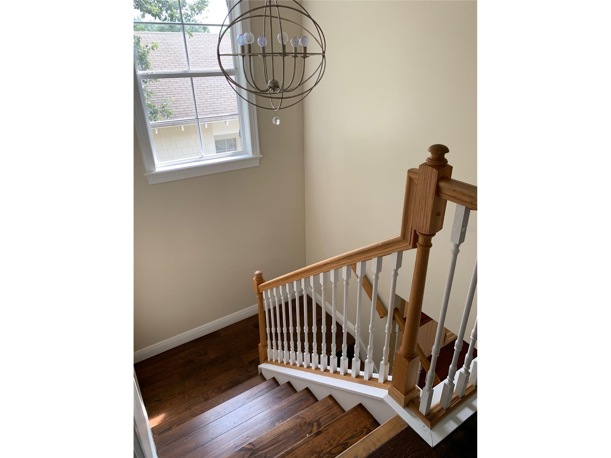 910 Pawstand Road Celebration FL 34747 S5140887 image25