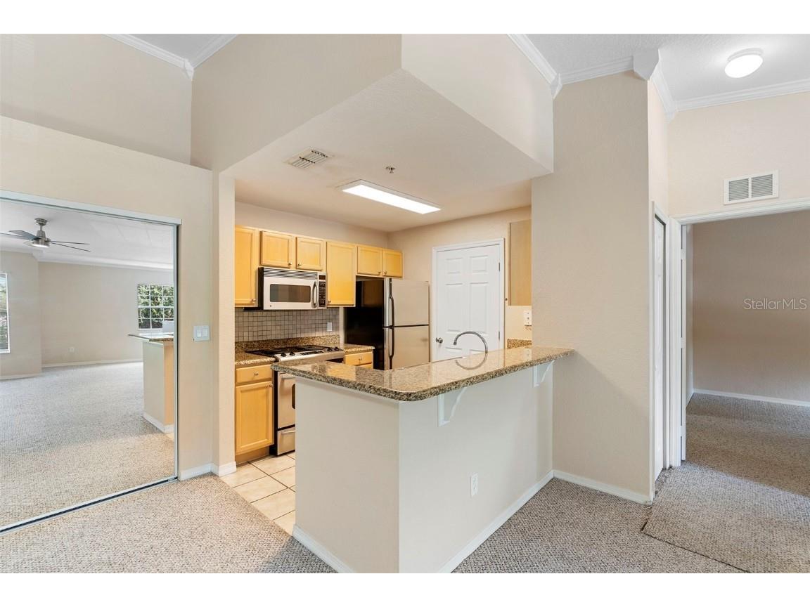 910 Regatta Bay Drive #5-201 Orange City FL 32763 V4943740 image4