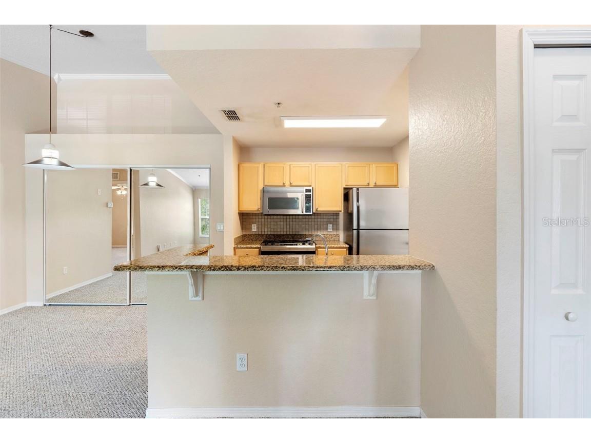 910 Regatta Bay Drive #5-201 Orange City FL 32763 V4943740 image9