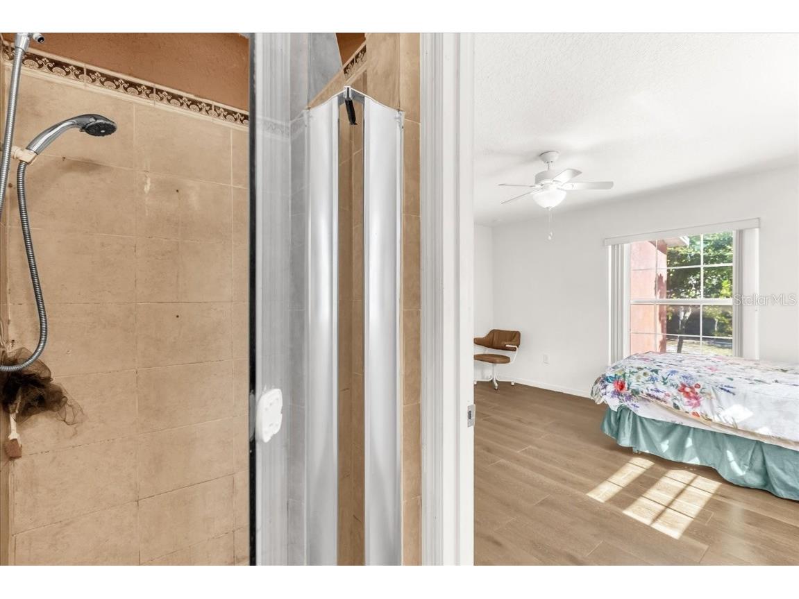 910 Rich Drive Mount Dora FL 32757 G5104615 image18