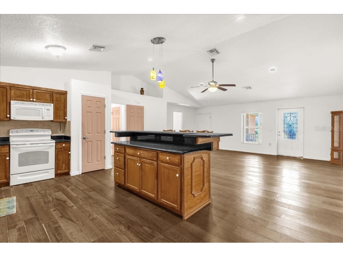 910 Rich Drive Mount Dora FL 32757 G5104615 image20