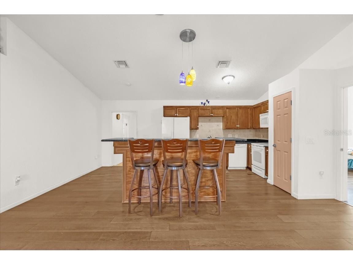 910 Rich Drive Mount Dora FL 32757 G5104615 image21