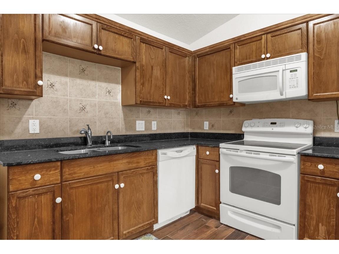 910 Rich Drive Mount Dora FL 32757 G5104615 image22