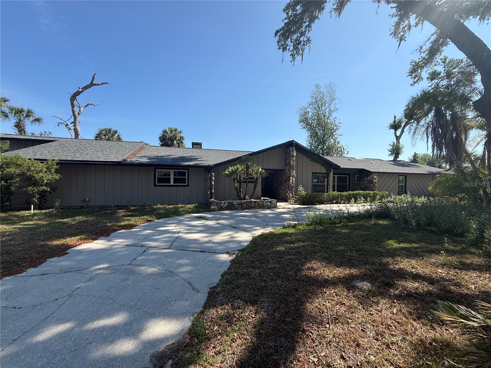 910 River Rapids Avenue Brandon FL 33511 TB8509167 image1