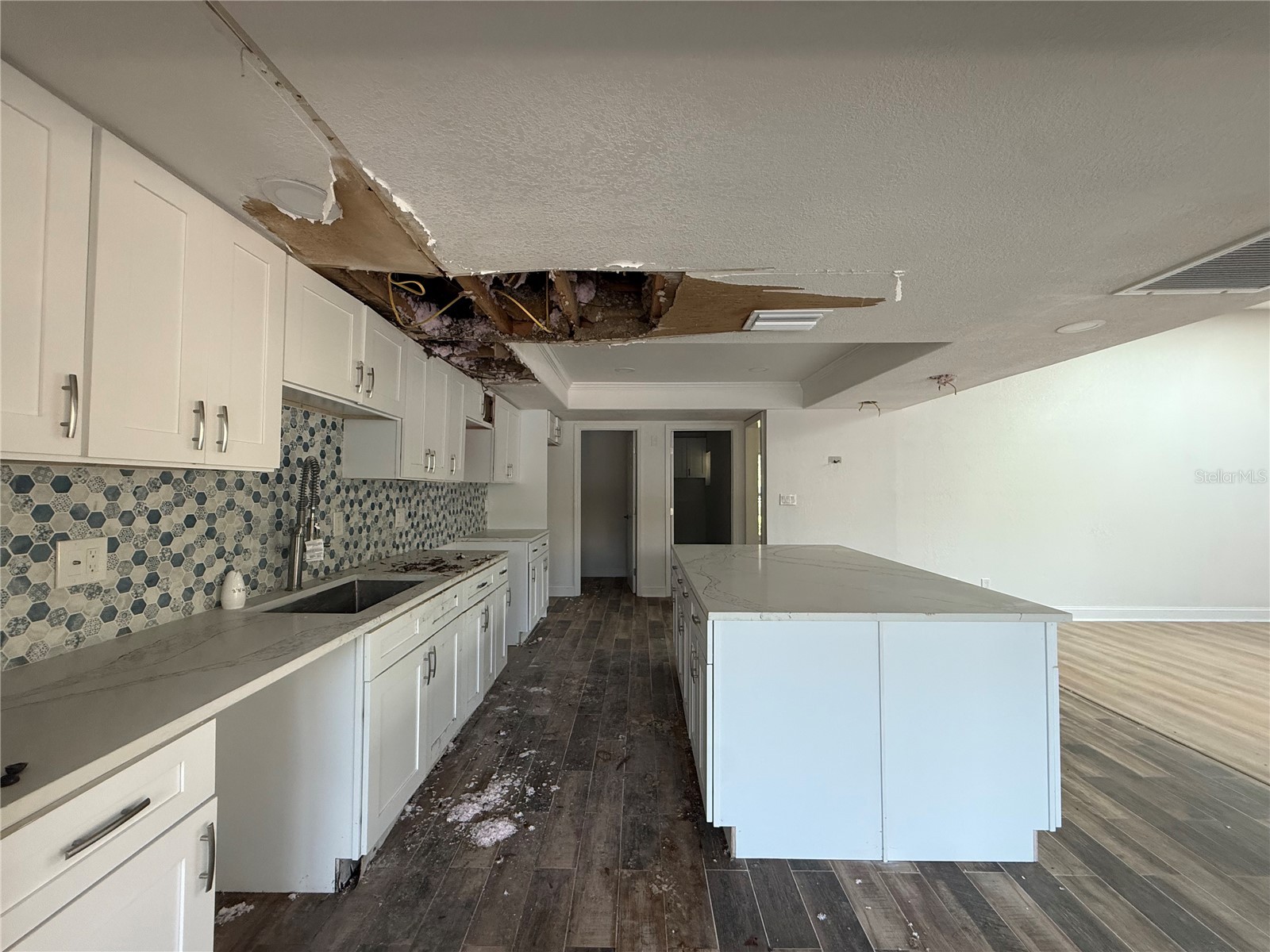 910 River Rapids Avenue Brandon FL 33511 TB8509167 image6