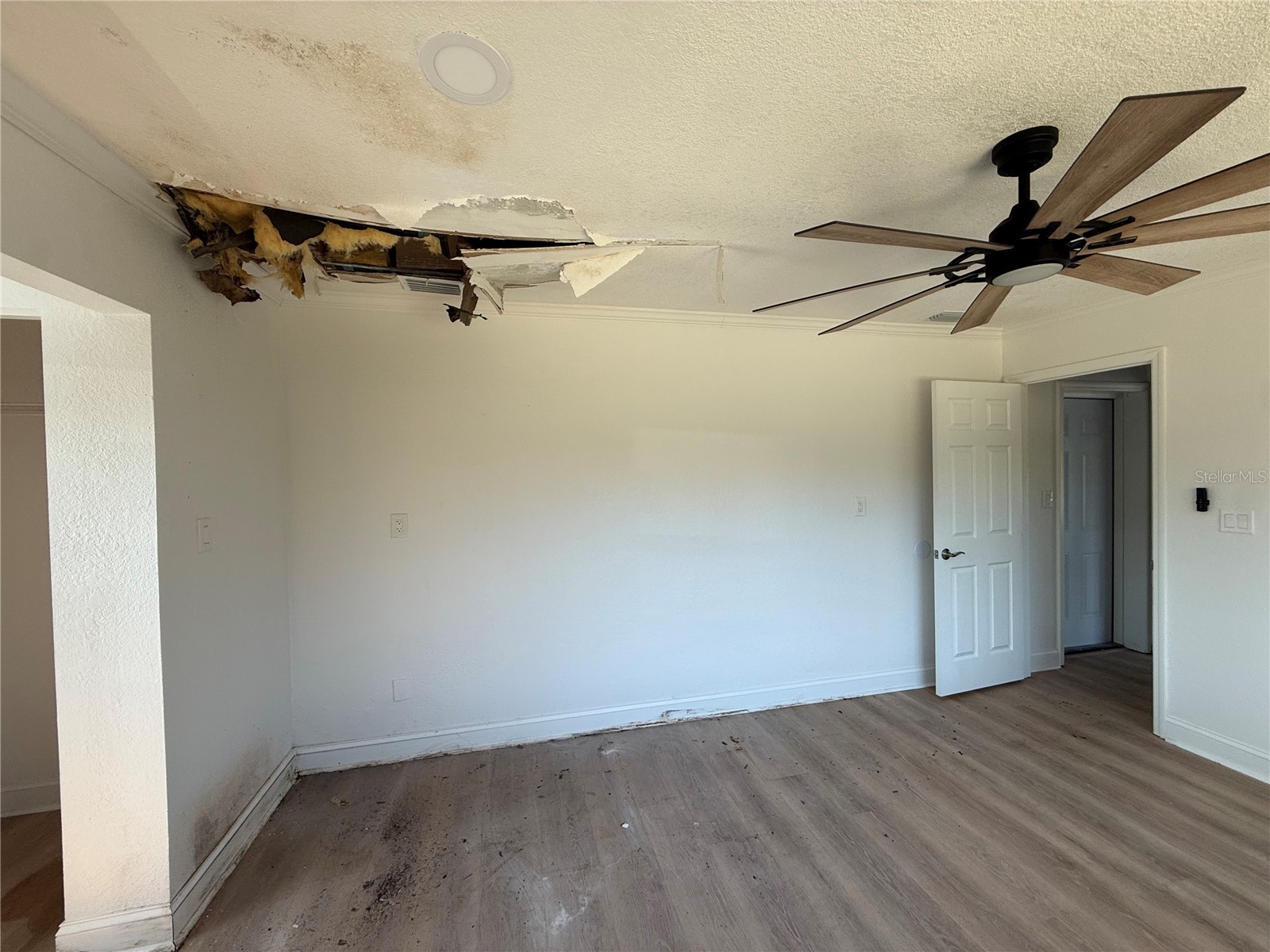 910 River Rapids Avenue Brandon FL 33511 TB8509167 image9