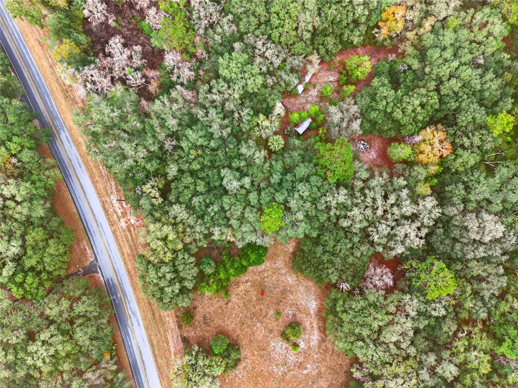 910 S County Road 21 Hawthorne FL 32640 O6366156 image10