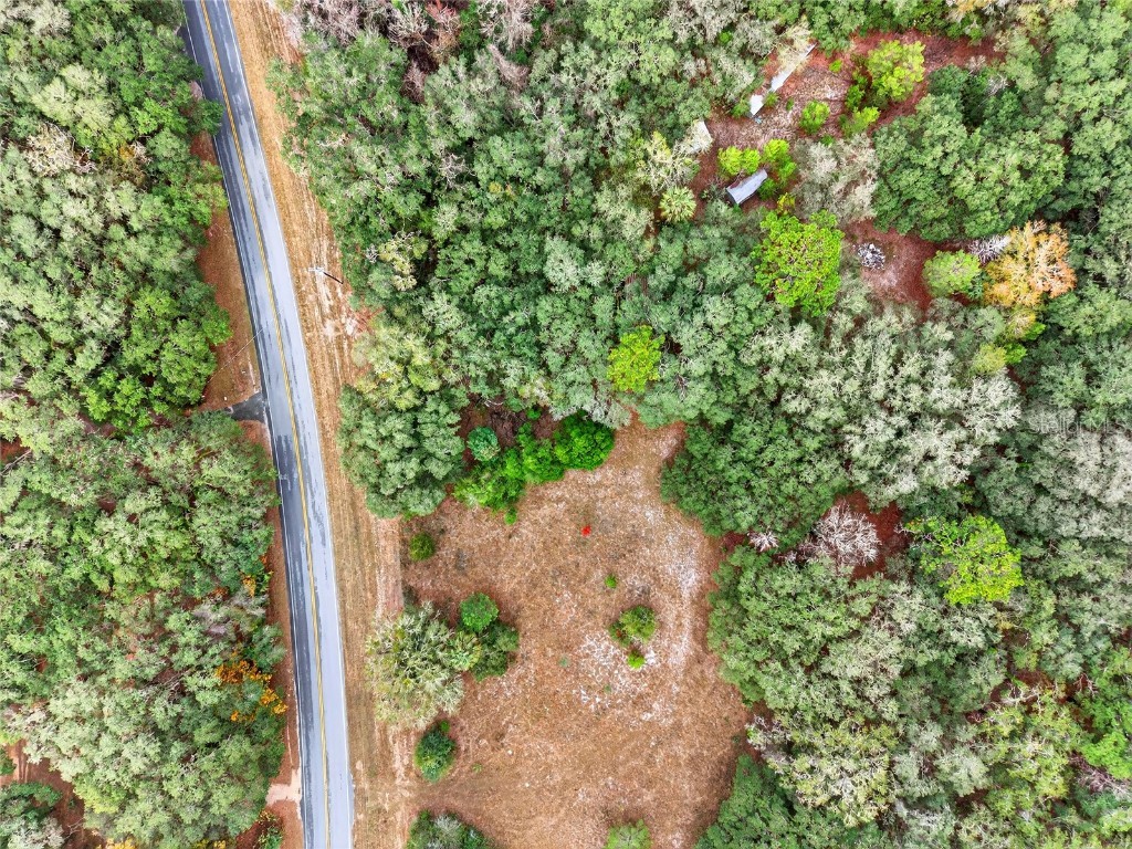 910 S County Road 21 Hawthorne FL 32640 O6366156 image11