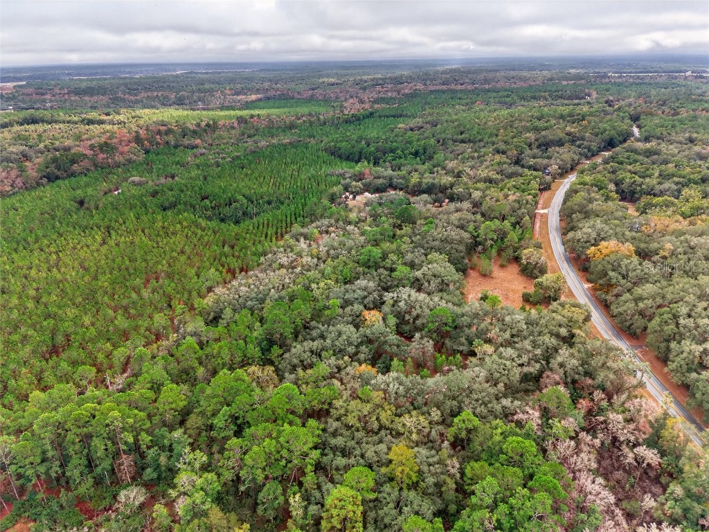 910 S County Road 21 Hawthorne FL 32640 O6366156 image2