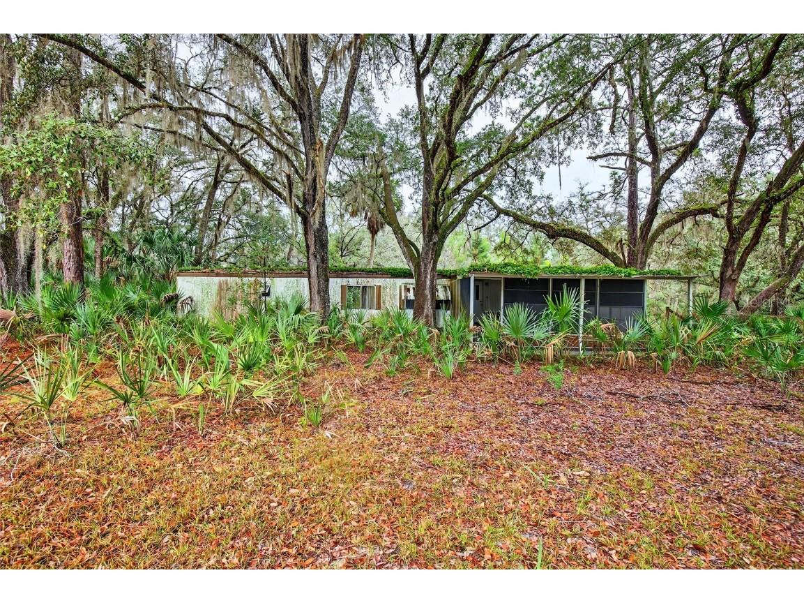 910 S County Road 21 Hawthorne FL 32640 O6366156 image3