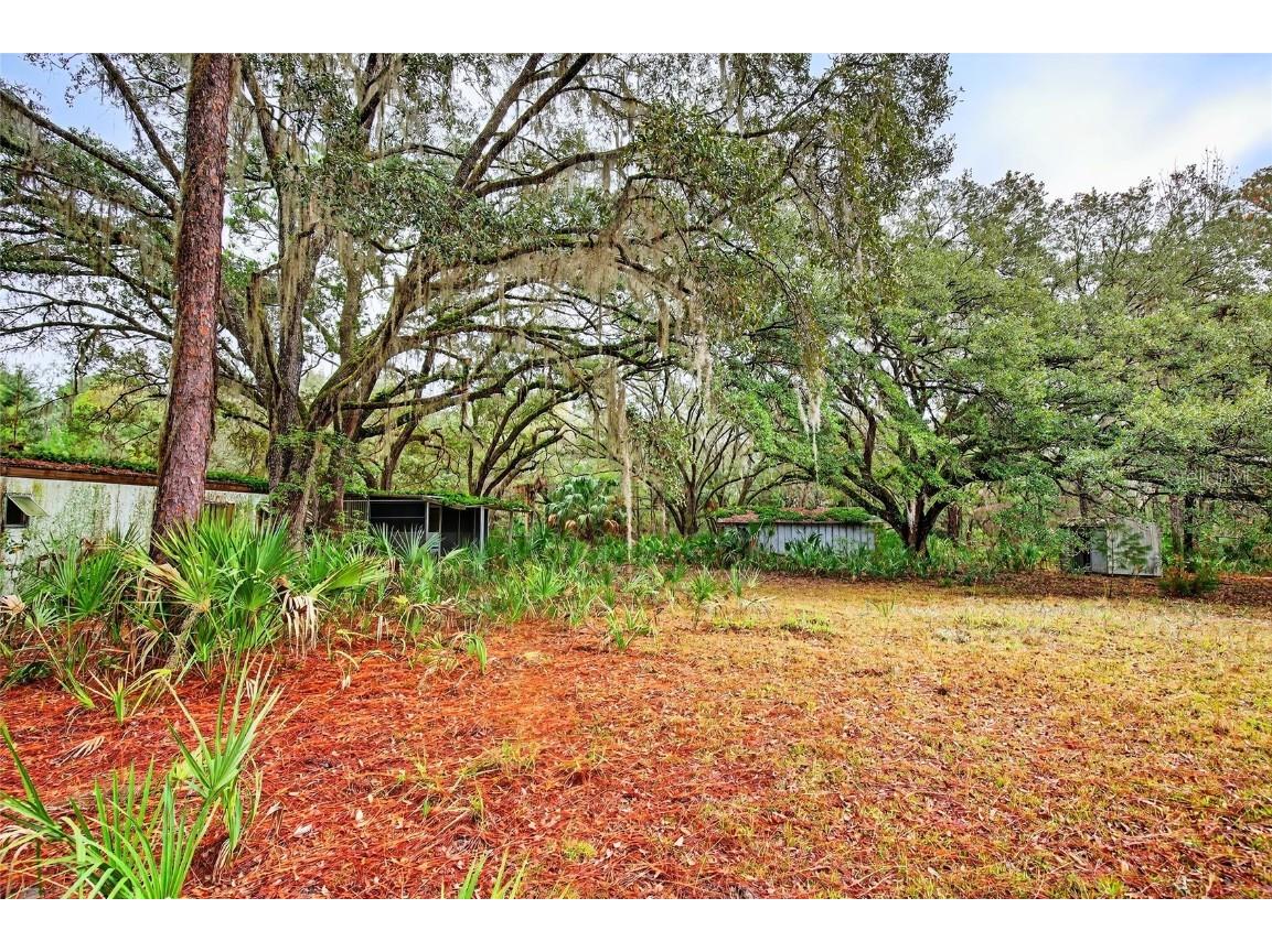 910 S County Road 21 Hawthorne FL 32640 O6366156 image4