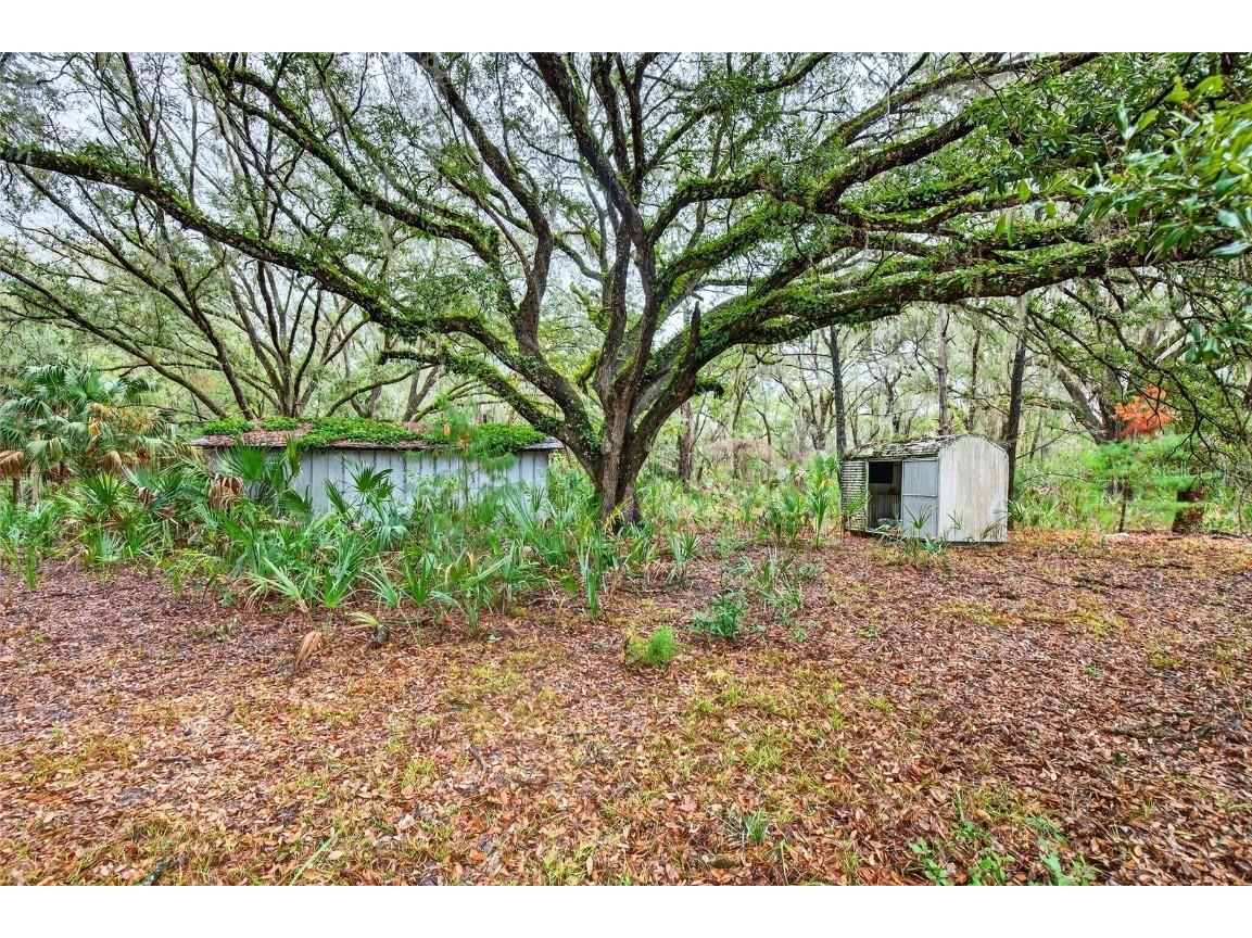 910 S County Road 21 Hawthorne FL 32640 O6366156 image6