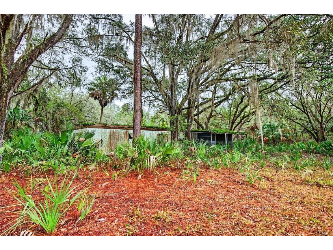 910 S County Road 21 Hawthorne FL 32640 O6366156 image7