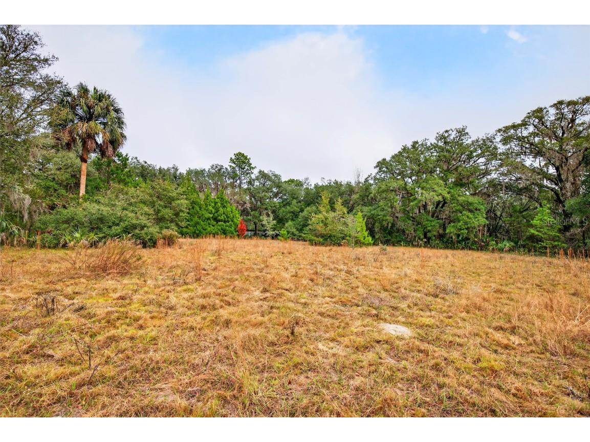 910 S County Road 21 Hawthorne FL 32640 O6366156 image8