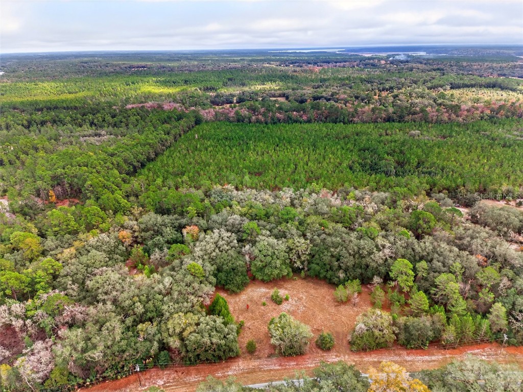 910 S County Road 21 Hawthorne FL 32640 O6366156 image9