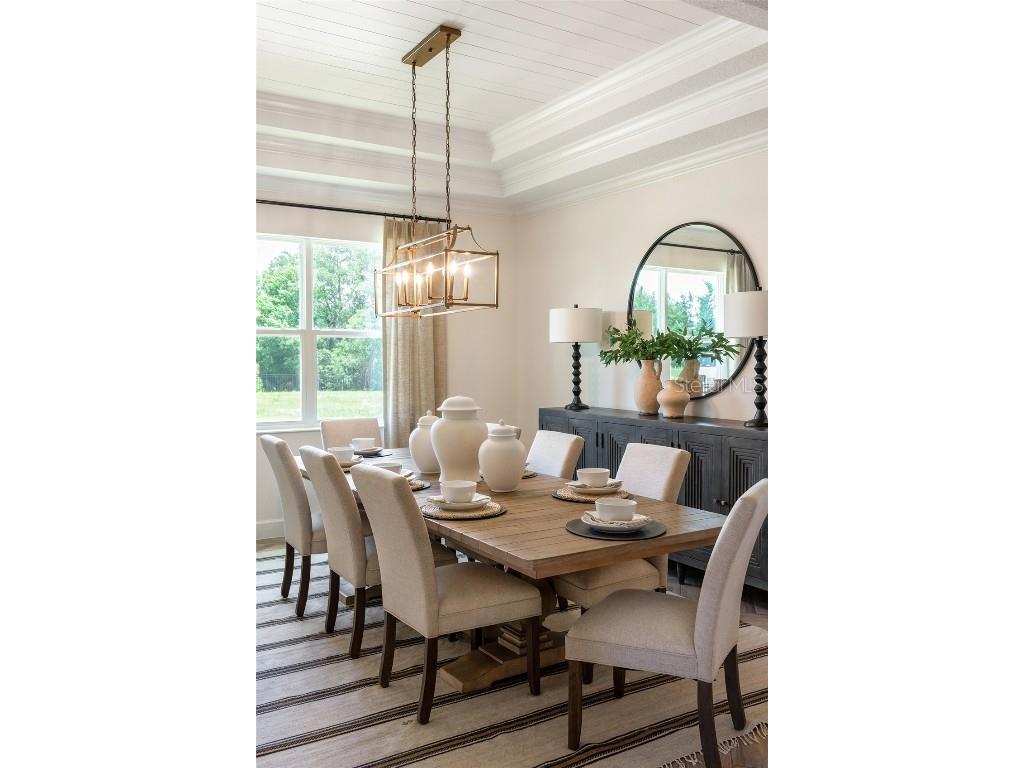 910 Signet Apollo Beach FL 33572 O6327602 image13