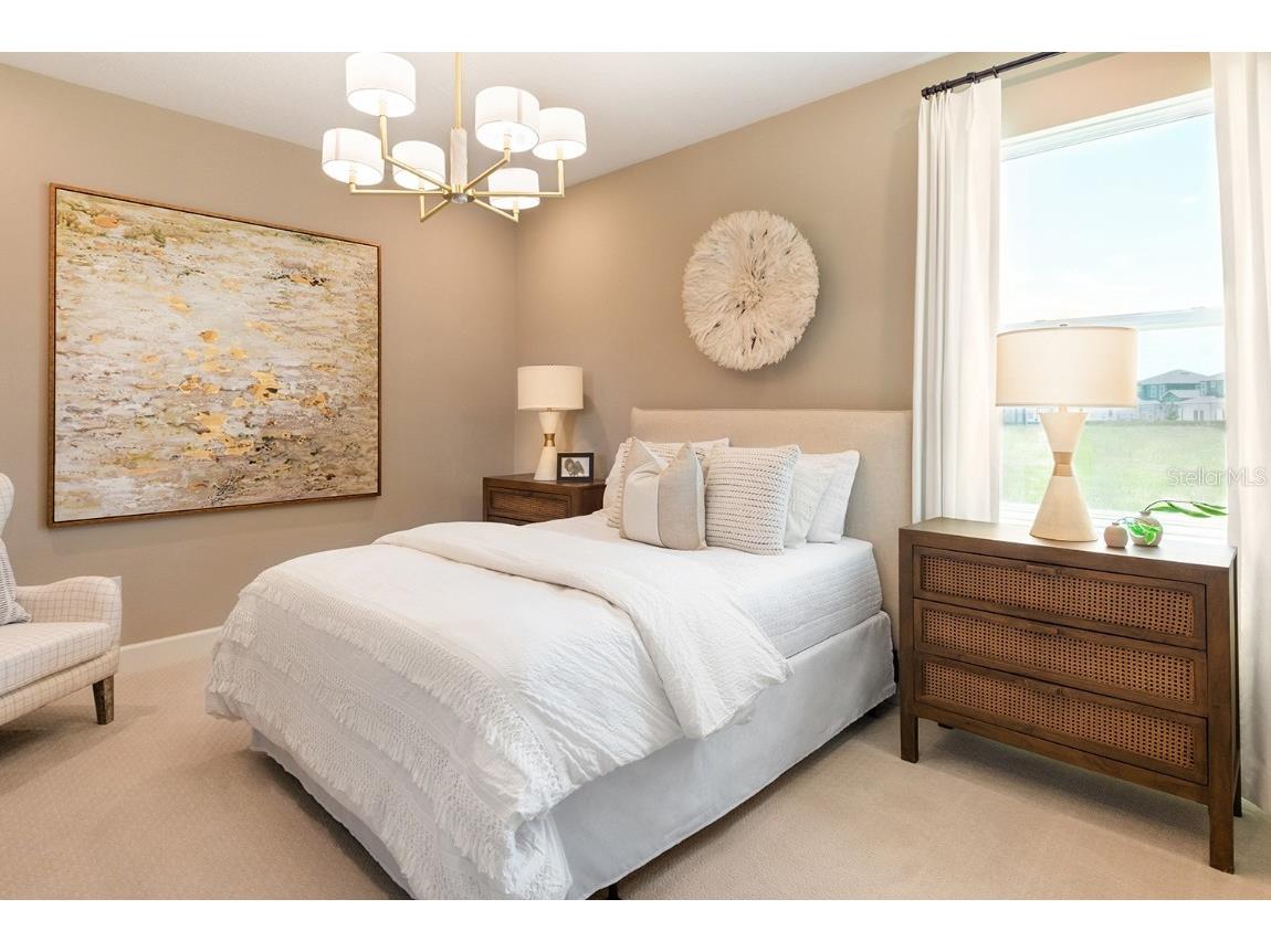 910 Signet Apollo Beach FL 33572 O6327602 image14