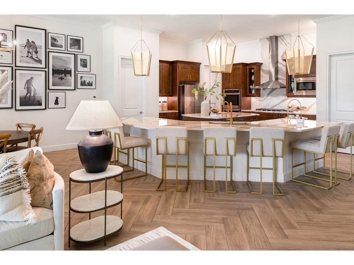 910 Signet Apollo Beach FL 33572 O6327602 image4