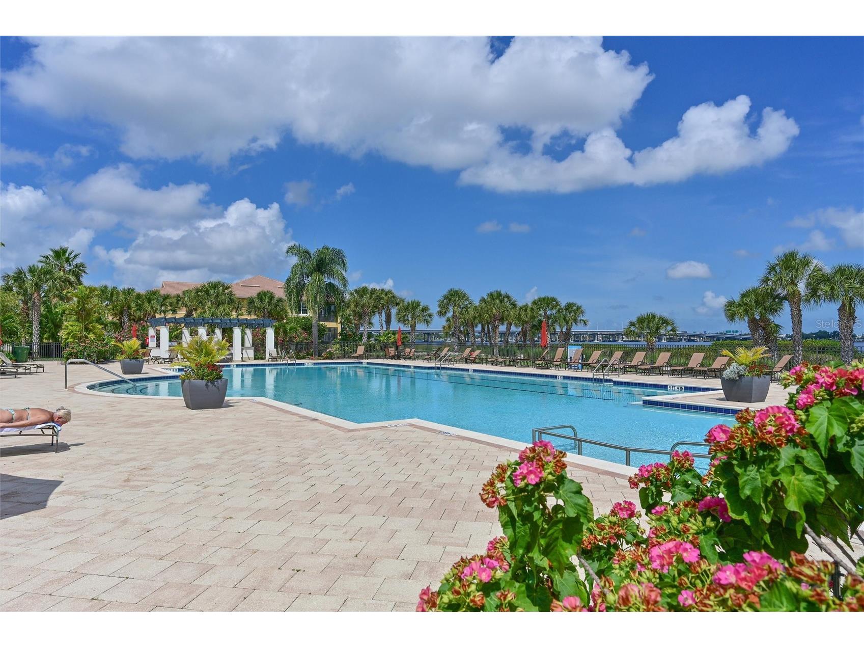 910 Tidewater Shores Loop #208 Bradenton FL 34208 - MANATEE RIVER A4692122 image55