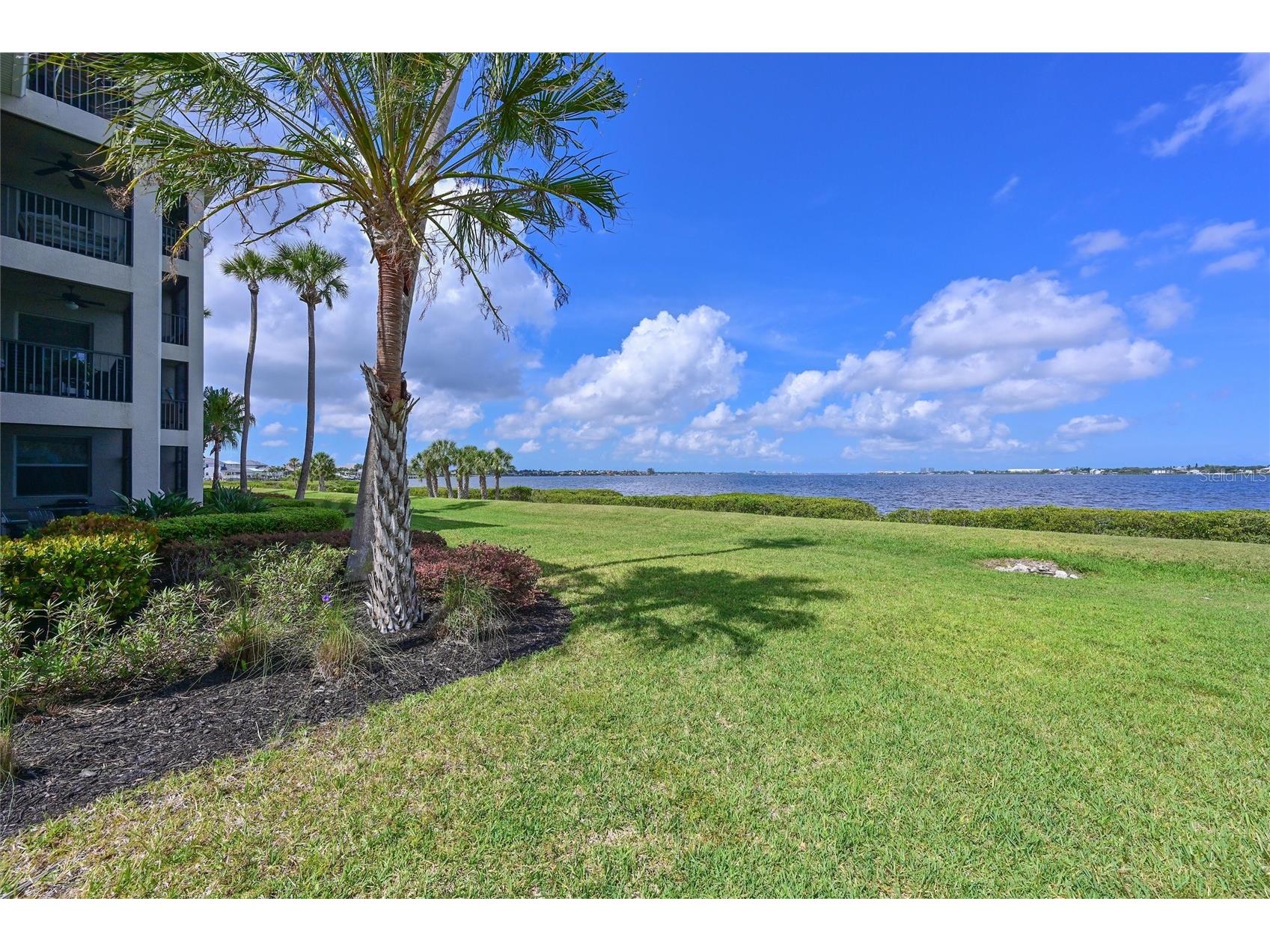 910 Tidewater Shores Loop #208 Bradenton FL 34208 - MANATEE RIVER A4692122 image67