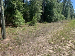 910 W Almont Place Citrus Springs FL 34434 OM659633 image1