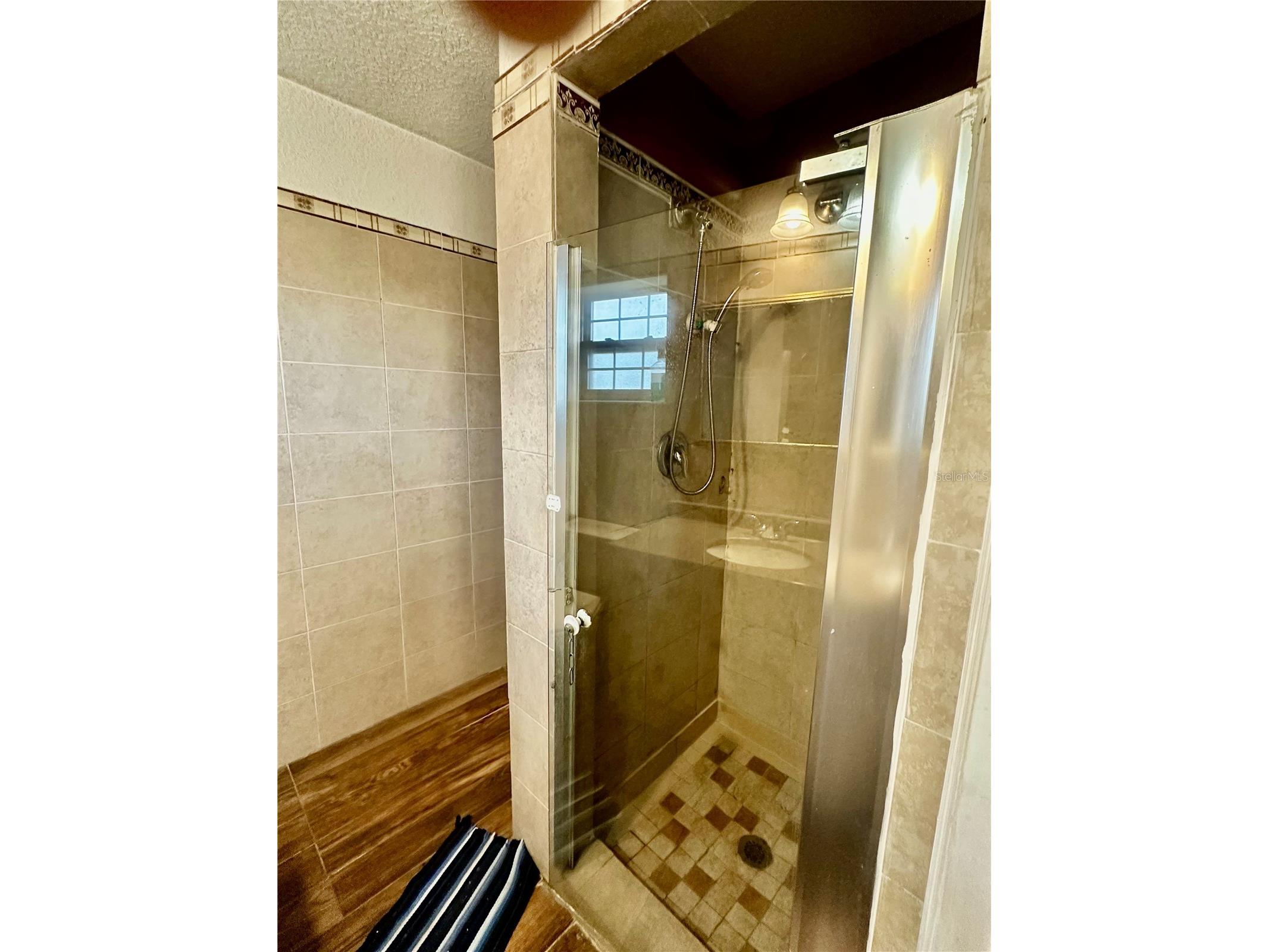 910 W Rich Drive Mount Dora FL 32757 O6396758 image10