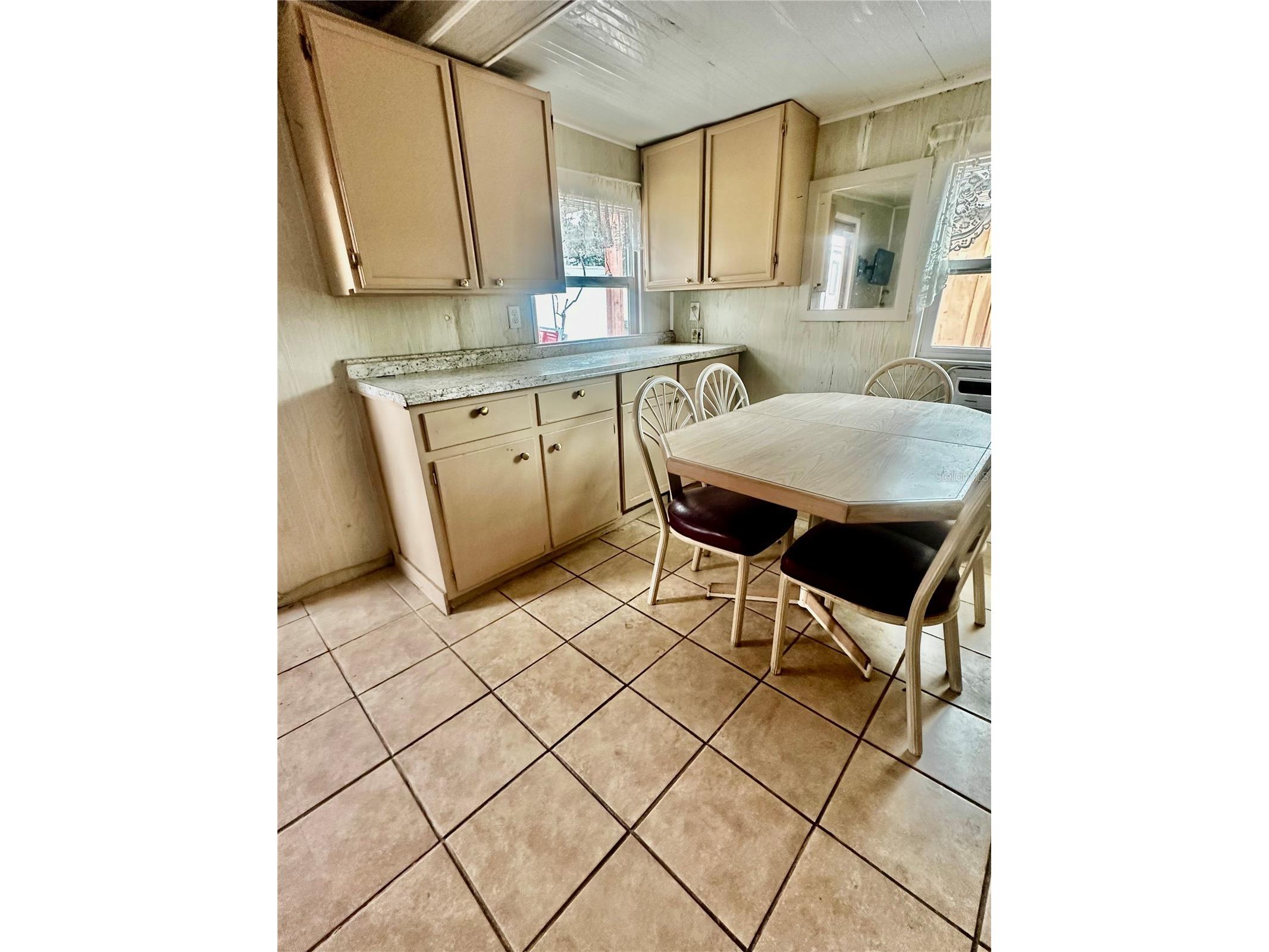 910 W Rich Drive Mount Dora FL 32757 O6396758 image18