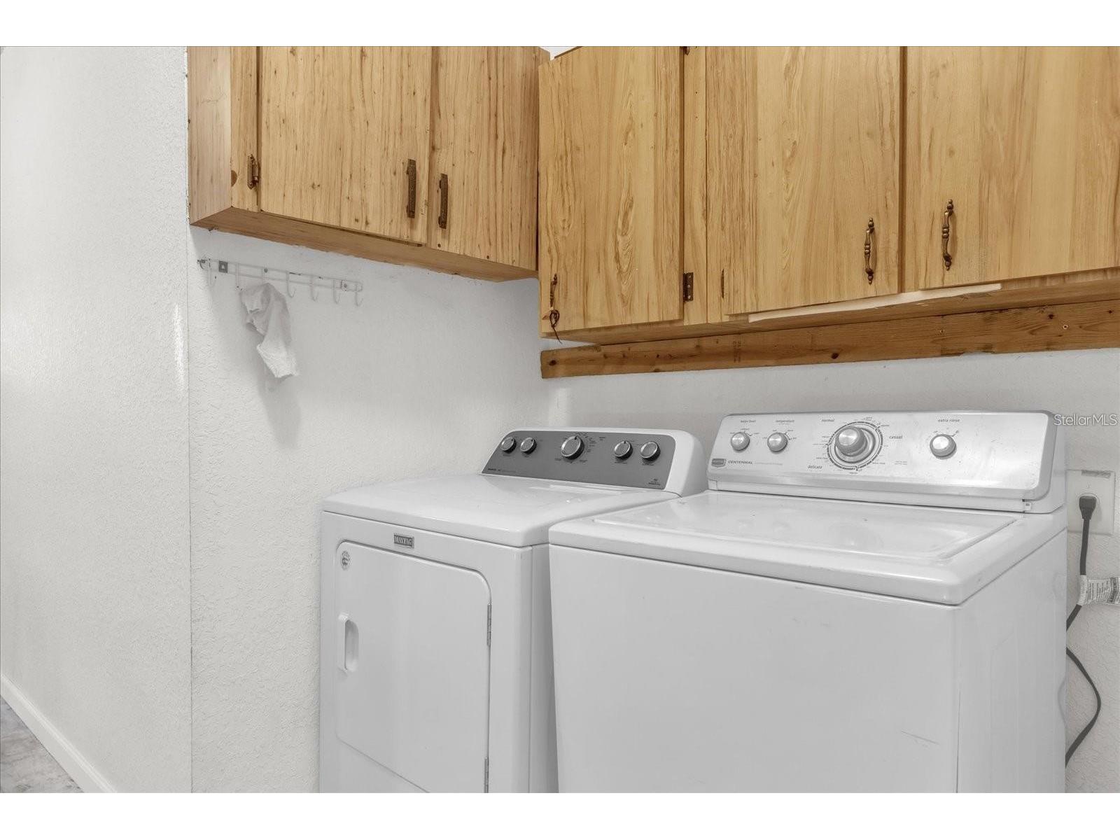 910 W Rich Drive Mount Dora FL 32757 O6396758 image21