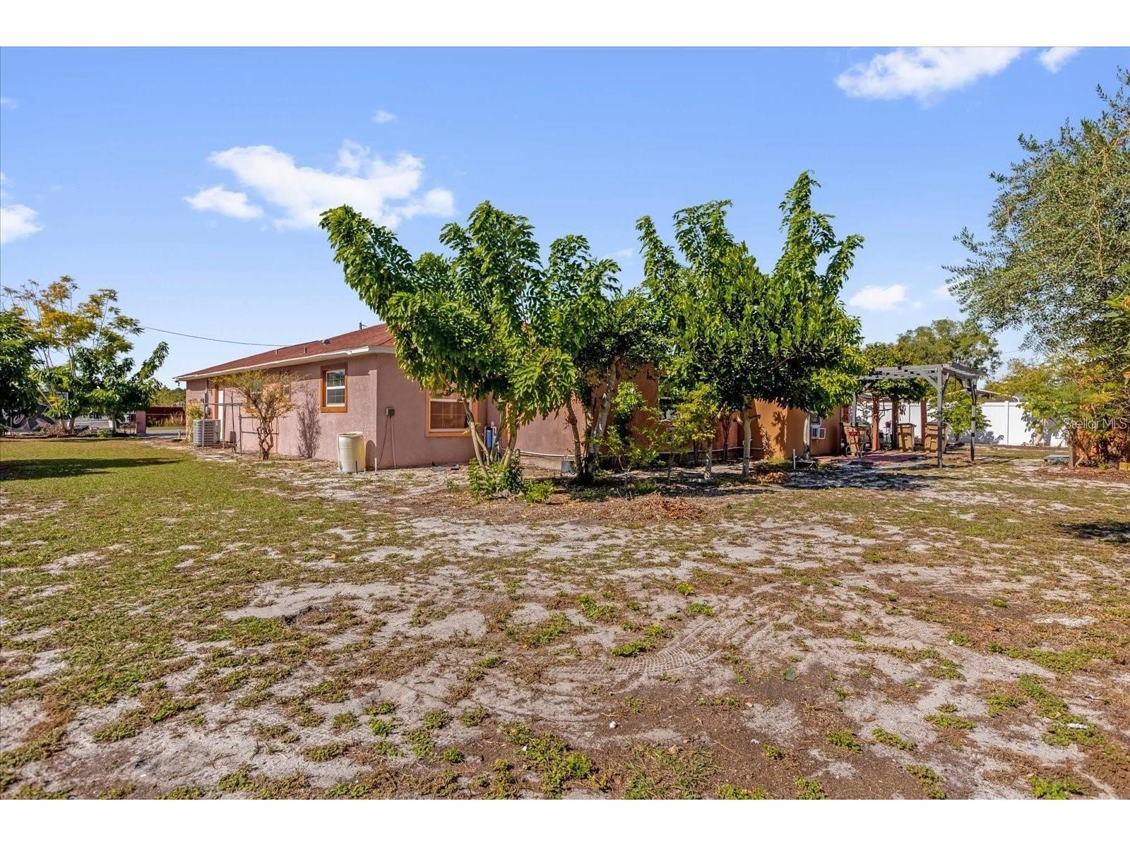 910 W Rich Drive Mount Dora FL 32757 O6396758 image27