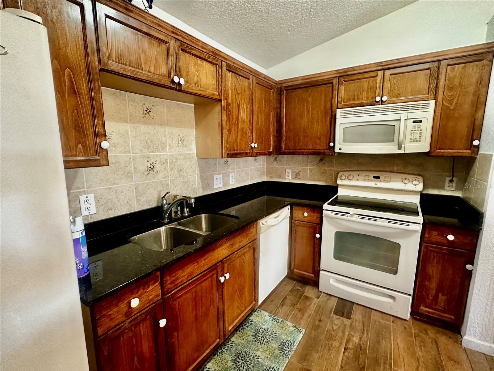 910 W Rich Drive Mount Dora FL 32757 O6396758 image5