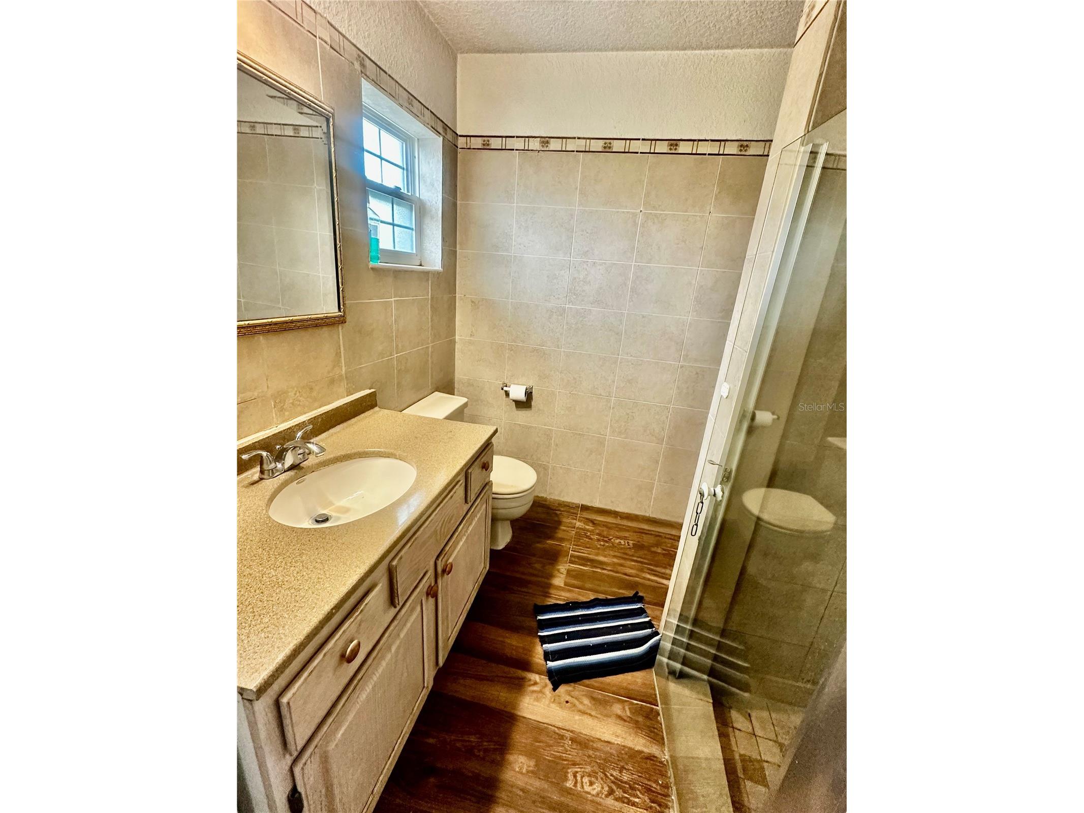 910 W Rich Drive Mount Dora FL 32757 O6396758 image9