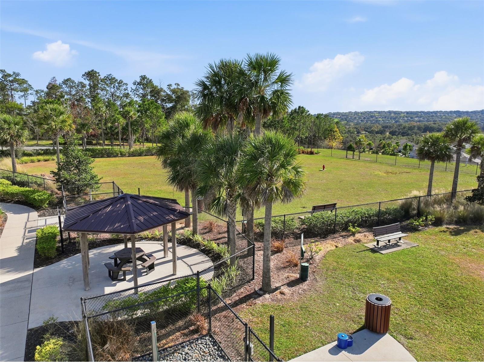 910 Zeek Ridge Court Clermont FL 34715 G5107144 image83