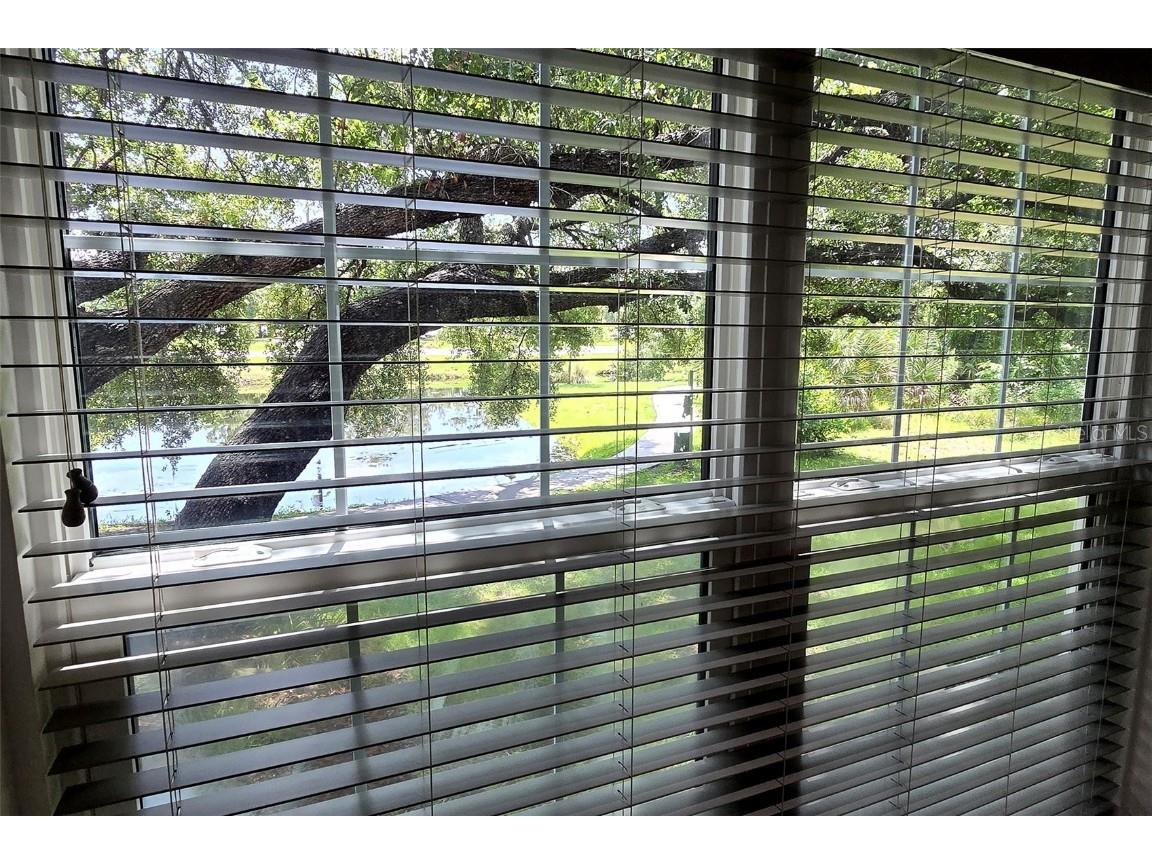 9100 Dr Martin Luther King Jr Street N #1007 Saint Petersburg FL 33702 S5130576 image26