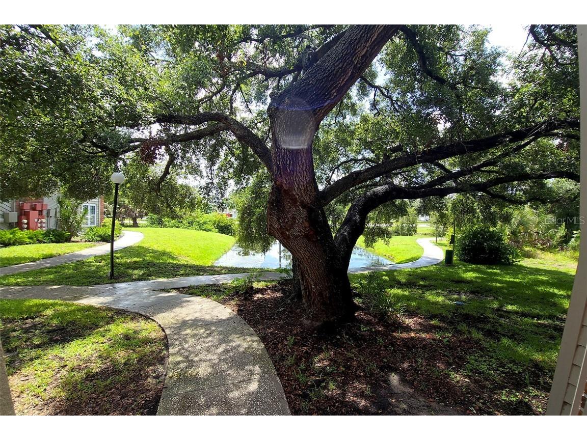 9100 Dr Martin Luther King Jr Street N #1007 Saint Petersburg FL 33702 S5130576 image34