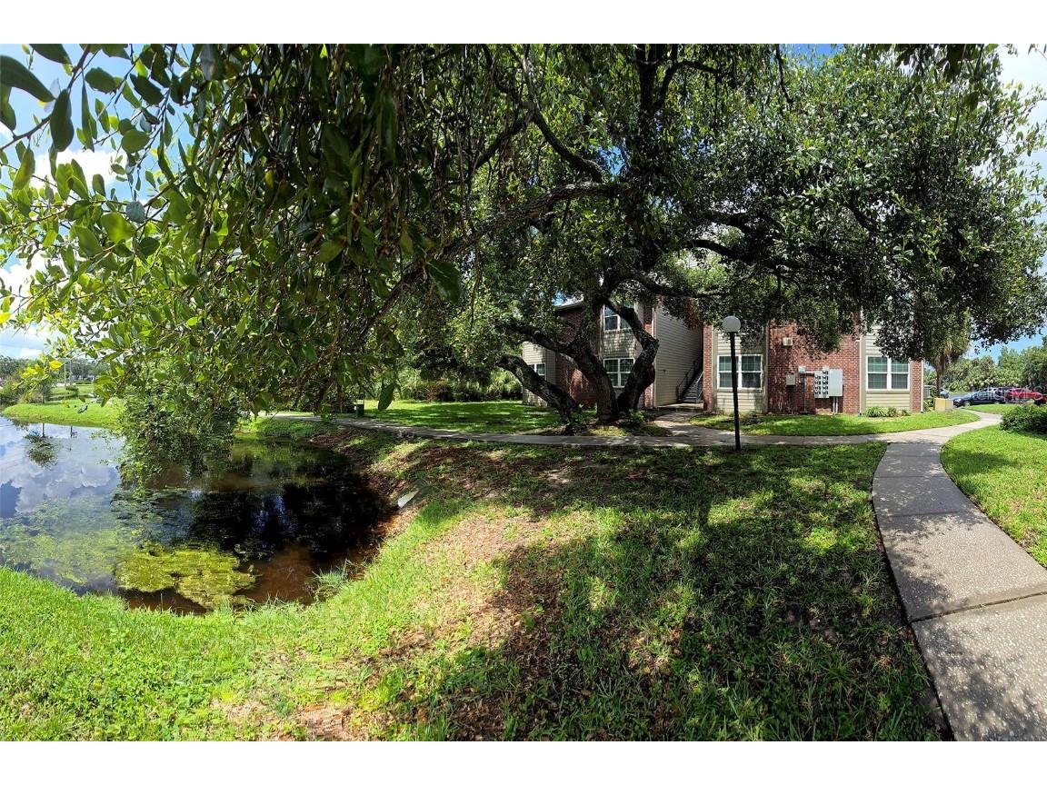 9100 Dr Martin Luther King Jr Street N #1007 Saint Petersburg FL 33702 S5130576 image35