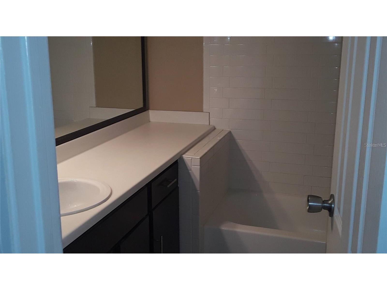 9100 Dr Martin Luther King Jr Street N #1411 Saint Petersburg FL 33702 - Duck Pond TB8511180 image23