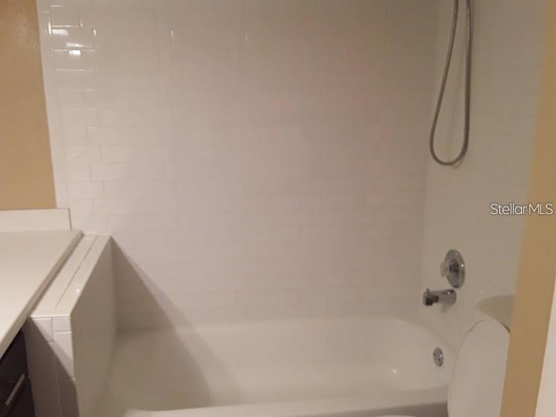9100 Dr Martin Luther King Jr Street N #1411 Saint Petersburg FL 33702 - Duck Pond TB8511180 image25