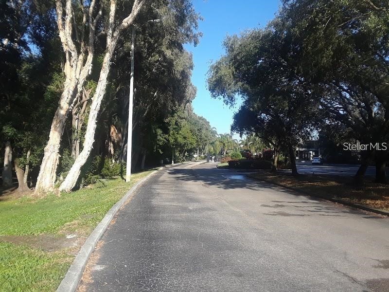9100 Dr Martin Luther King Jr Street N #1411 Saint Petersburg FL 33702 - Duck Pond TB8511180 image3