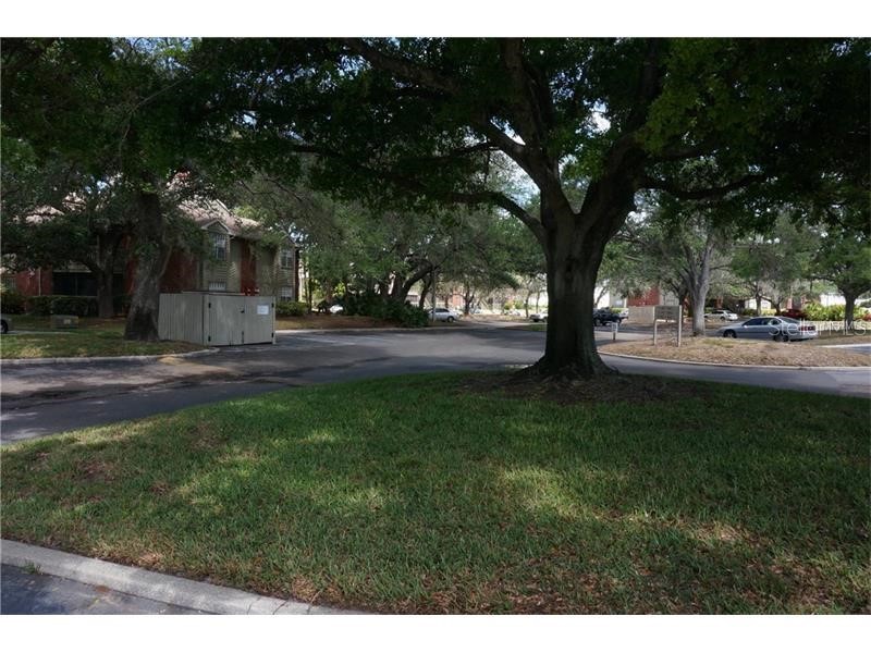 9100 Dr Martin Luther King Jr Street N #1411 Saint Petersburg FL 33702 - Duck Pond TB8511180 image37