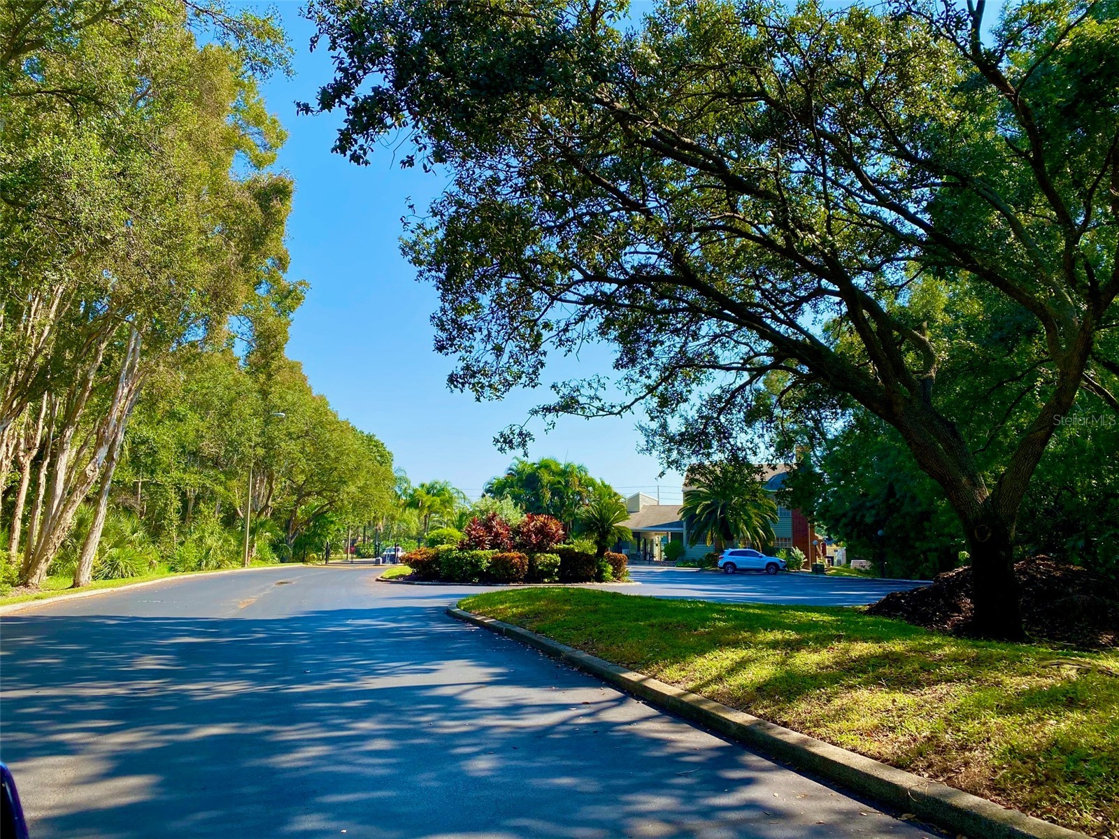 9100 Dr Martin Luther King Jr Street N #1505 Saint Petersburg FL 33702 TB8492242 image1