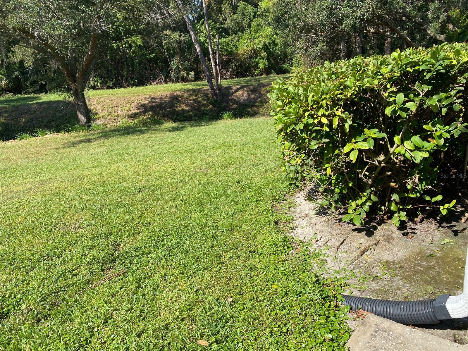 9100 Dr Martin Luther King Jr Street N #1505 Saint Petersburg FL 33702 TB8492242 image6