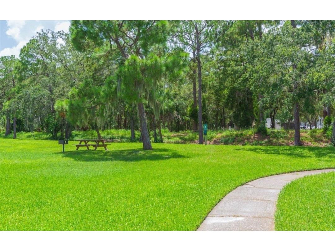 9100 Dr Martin Luther King Jr Street N #317 Saint Petersburg FL 33702 TB8448435 image21