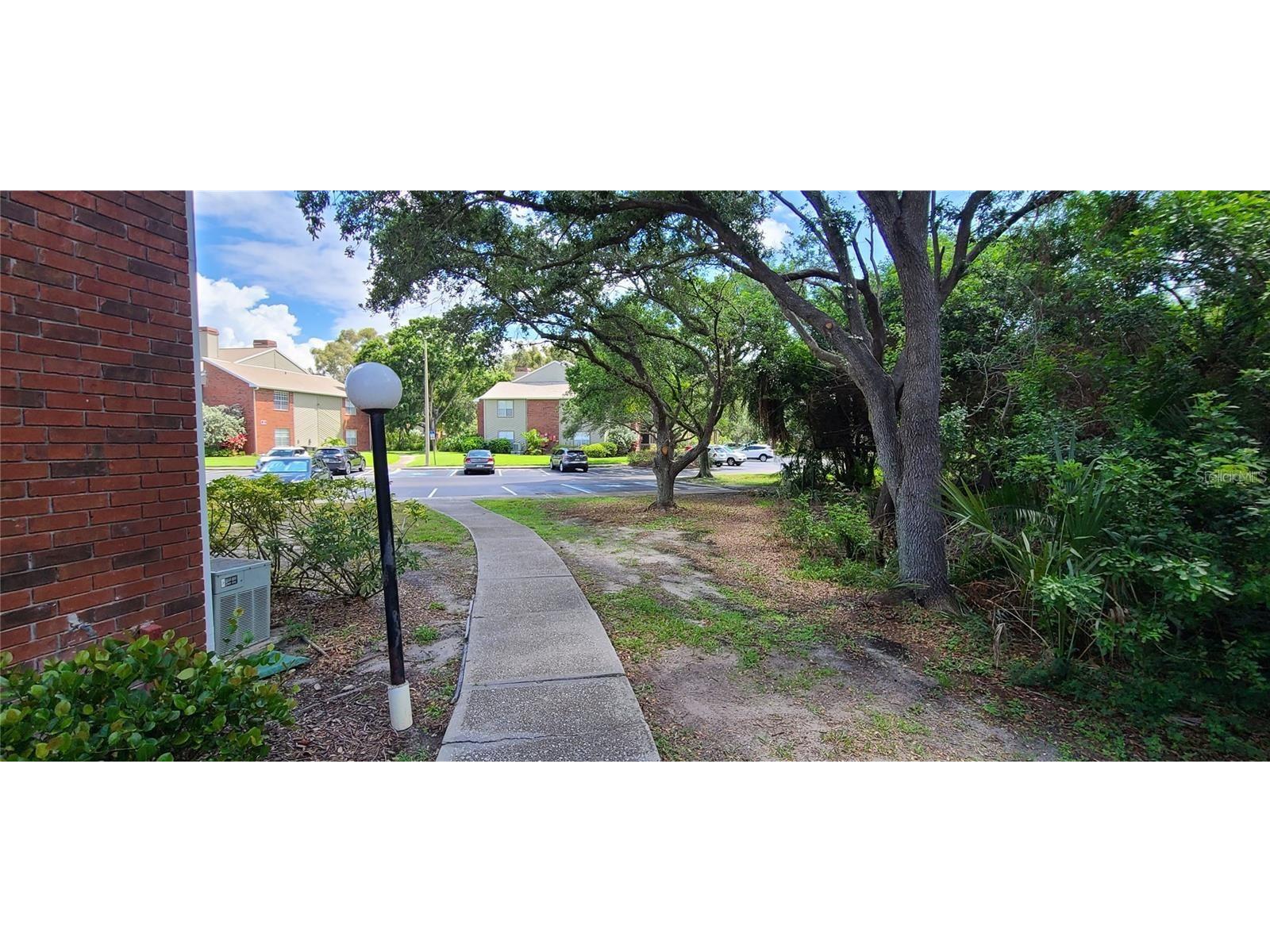 9100 Dr Martin Luther King Jr Street N #317 Saint Petersburg FL 33702 TB8448435 image22