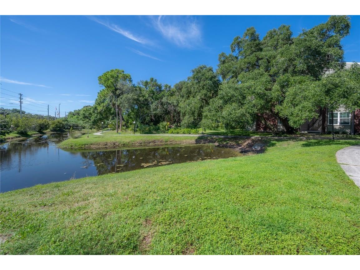 9100 Dr Martin Luther King Jr Street N #905 Saint Petersburg FL 33702 TB8454669 image31