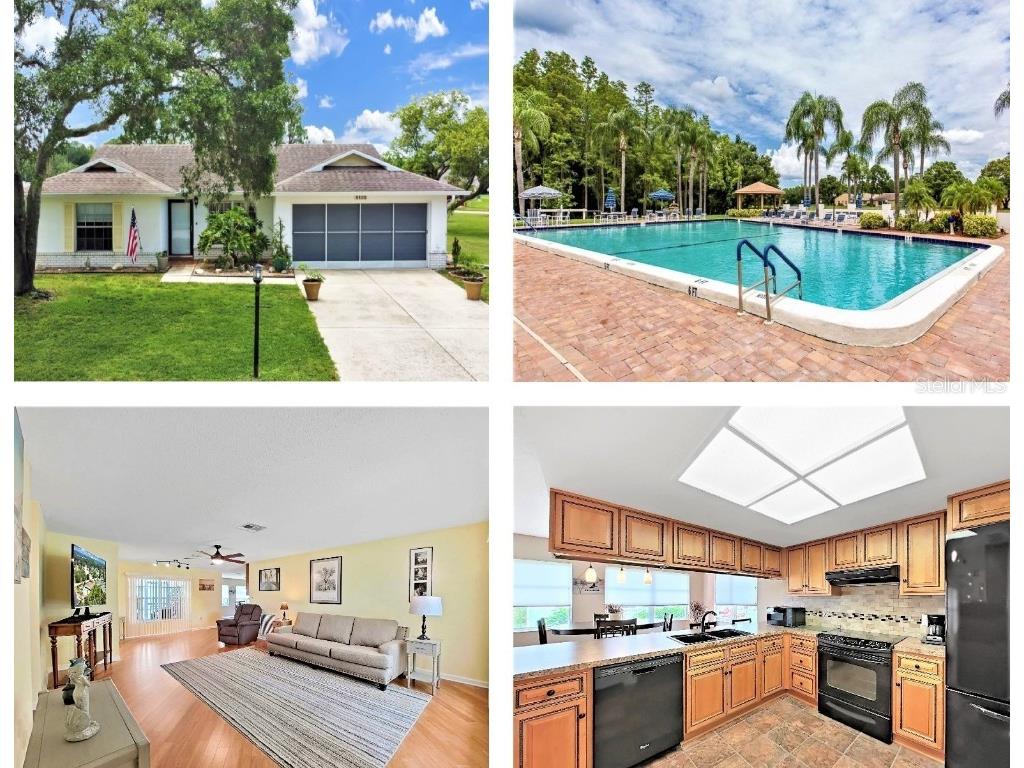 9100 Millers Pond Avenue New Port Richey FL 34655 U8207413 image1