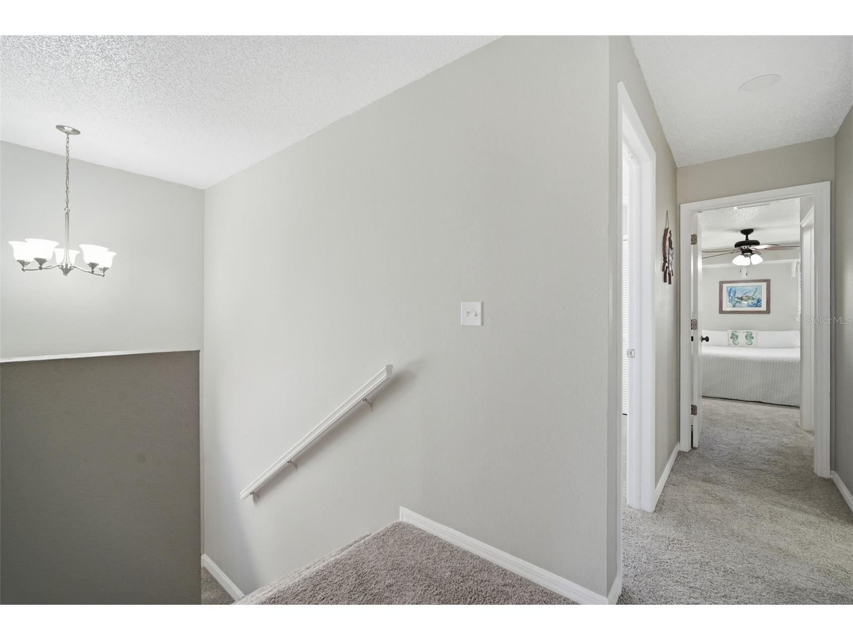 9100 Park Boulevard #1 Seminole FL 33777 TB8475748 image35