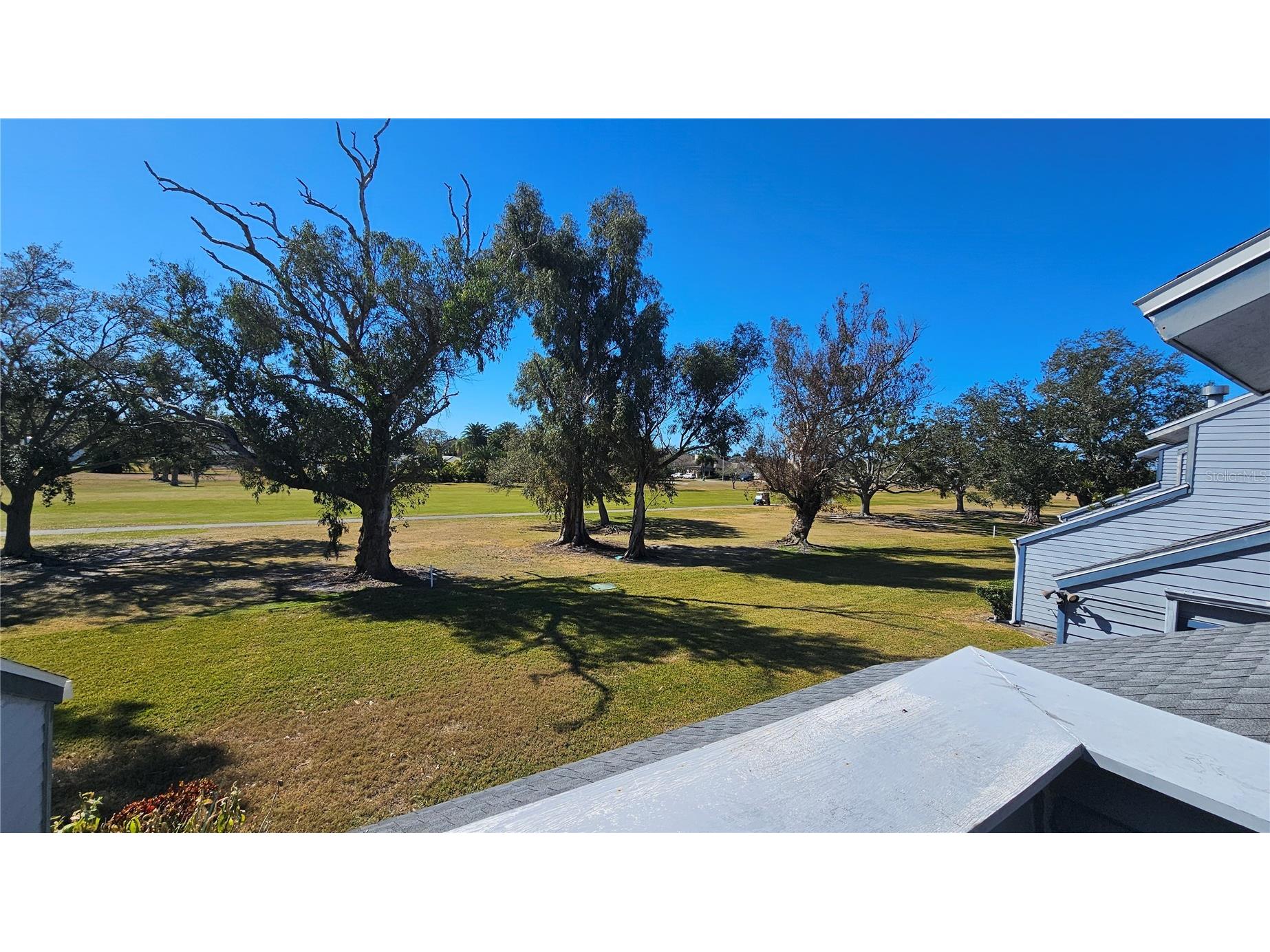 9100 Park Boulevard #1 Seminole FL 33777 TB8475748 image44