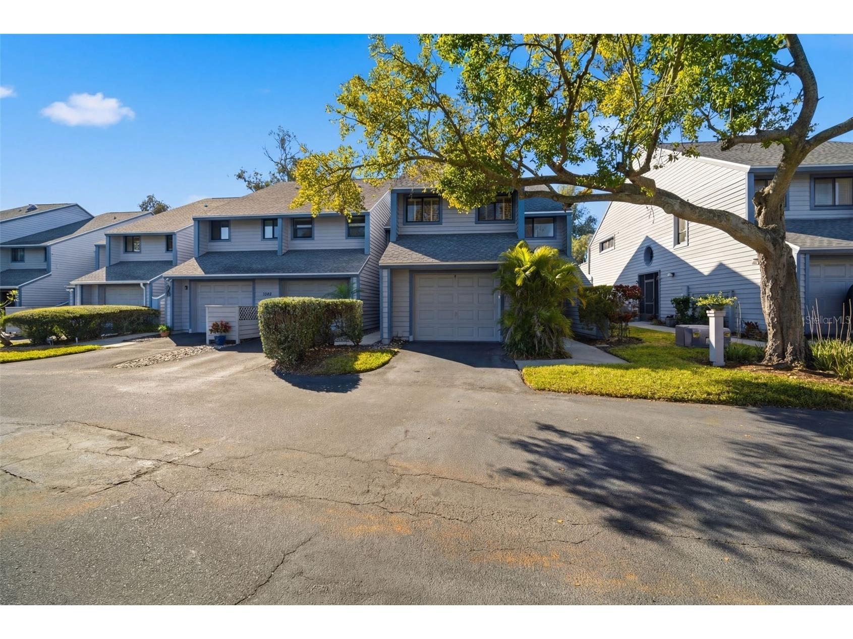 9100 Park Boulevard #1 Seminole FL 33777 TB8475748 image57
