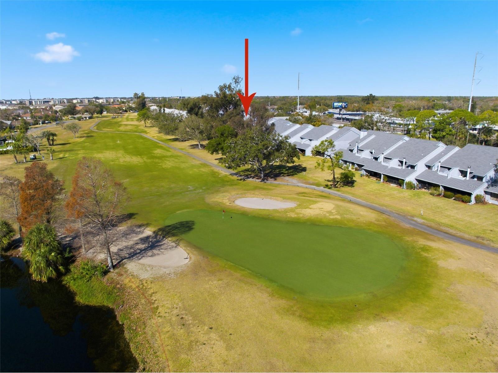 9100 Park Boulevard #1 Seminole FL 33777 TB8475748 image67